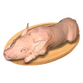 Lechon---x-1-Kg