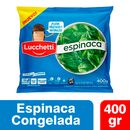 Espinaca-Lucchetti-400Gr