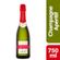 Champagne-Chandon-Aperitif--x-750-Ml