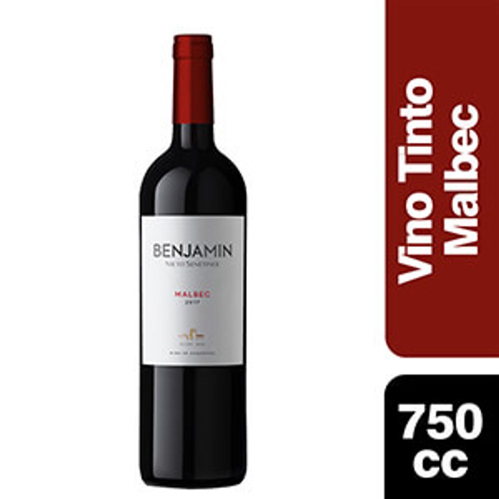 Vino Benjamin Nieto Malbec x 750 Cc - alberdisa