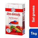 Sal-Gruesa-Dos-Anclas-Paq.-Trilam-x-1-kg