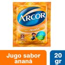 Jugo-Arcor-Anana-Sobr-x-20-Gr