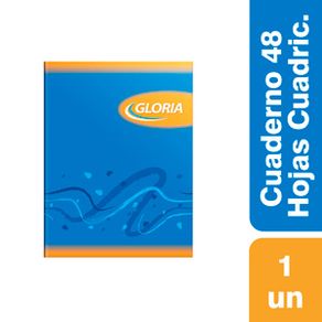 Cuad-Gloria-Cuadriculad-Tapa-Flex-48Hj