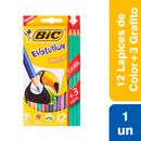 Lapiz-Bic-Color-Evolution-x-12un-4Lap-Gr