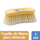 Cepillo-La-Gauchita-Limp-Vehiculos-x1un