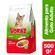 Alimento-Voraz-P--Gato-Adulto--x-500-Gr