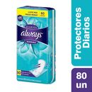Protector-Always-Respirable-80un