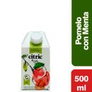 Jugo-Citric-Pomelo-Menta-Tetra-500ml