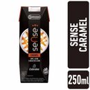 Alimento-La-Serenisima-Sense-Caramelo-x-250-Ml