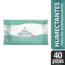 Toallas-Desmaquillantes-Teatrical-Humectantes-40-un