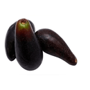palta-comun