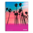 Cuad-Avon-Espi-22x29-Cuadric.-x-84-Hj