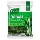 Espinaca-Deshidratada-Knorr-50gr