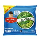 Acelga-Lucchetti-450gr