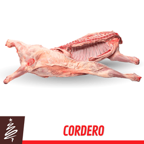 Cordero
