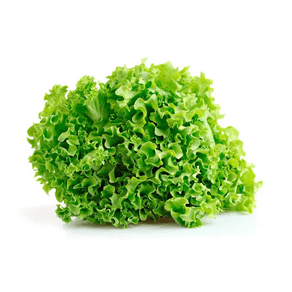 Lechuga-Crespa-