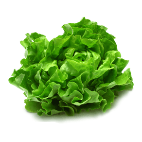 Lechuga-Perezosa---x-1-Kg