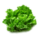Lechuga-Perezosa---x-1-Kg