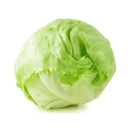 Lechuga-Repollada---x-1-Kg