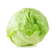 Lechuga-Repollada---x-1-Kg