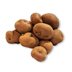 Papa-Andina