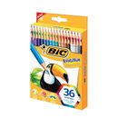 Lapiz-Bic-Color-Evolution-36un