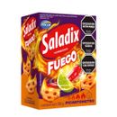 Galleta-Saladix-Horneado-Picante-100Gr
