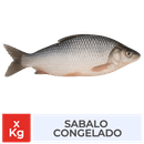 Foto-Producto.png