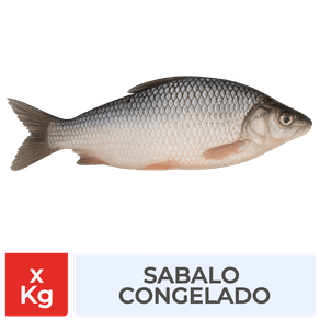 Foto-Producto.png